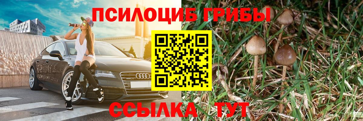 Псилоцибиновые грибы Magic Shrooms Скопин