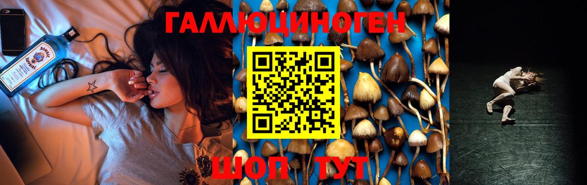 Псилоцибиновые грибы MAGIC MUSHROOMS  Вход с VPN  Скопин  Псилоцибиновые грибы мицелий 